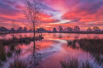 Kleurrijke zonsopkomstop het Dwingelderveld, Drenthe van Bea Budai