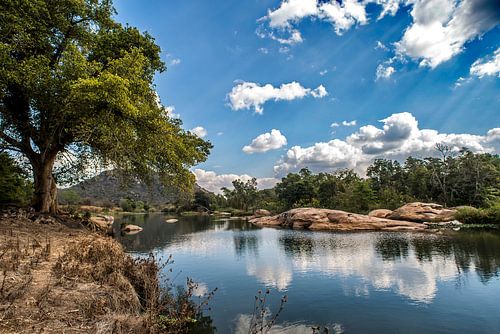 Zuid-Afrikaans landschap "Wet and dry"