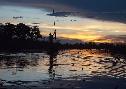 Zonsondergang  in de Okavango delta