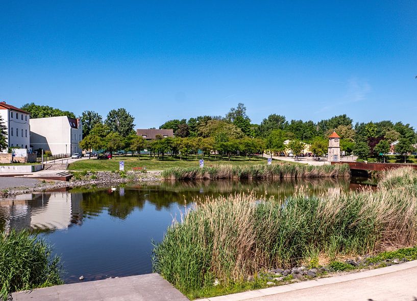 Parc dans la ville de Staßfurt en Saxe-Anhalt par Animaflora PicsStock