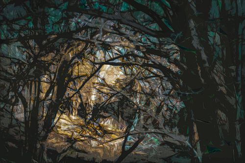 Digitale boswandeling1