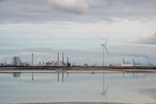 Uitzicht over de haven bij Maasvlakte Rotterdam 2