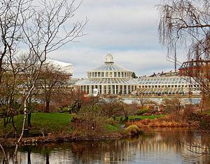 Palmenhaus Kopenhagen