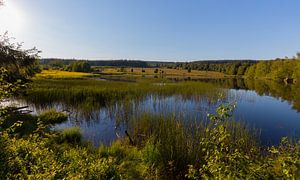 Paysage avec un lac