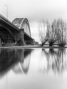 Nijmegen Hochwasser #7