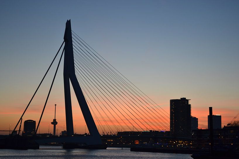 Erasmus Bridge and Euromast Rotterdam. by Aletta Smits-Hessels