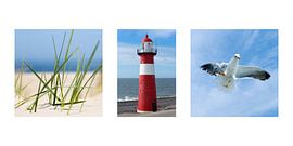 Drieluik Zeeuwse Kust van fotogevoel .nl