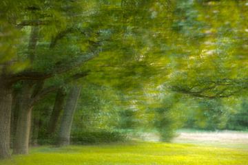 Schilderachtige impresionistische bomen van Olaf Oudendijk