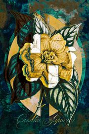 Camellia japonica, a camellia by Helga Blanke