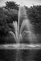 fountain in a black and white landscape