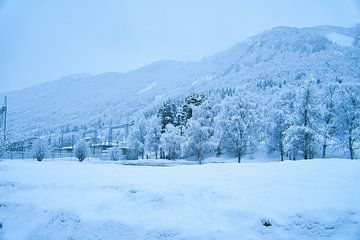 Noors hooggebergte, besneeuwde bergen en landschap van Martin Köbsch