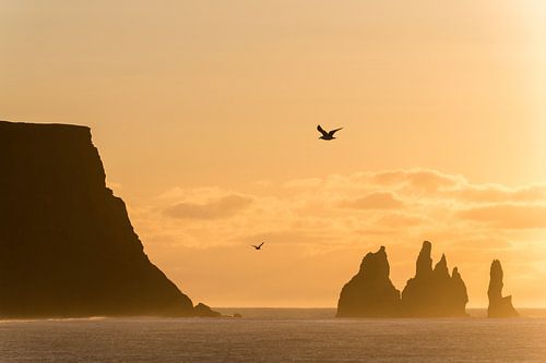 zonsopgang bij Reynisdrangar-kliffen, Vic, zuidkust, IJsland * zonsopgang bij Reynisdrangar-kliffen,