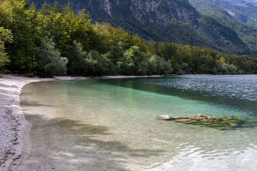 Bohinjer See (3) von Jolanda van Eek en Ron de Jong