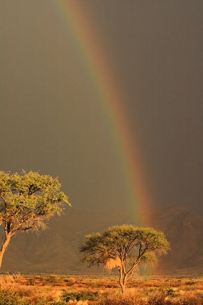 Regenbogen mit Sonne und dunklem Himmel Namibia von Bobsphotography