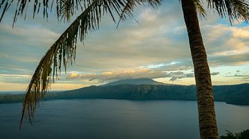 Palmboom naast kratermeer van Dennis Werkman