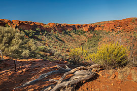 Kings Canyon von Markus Lange