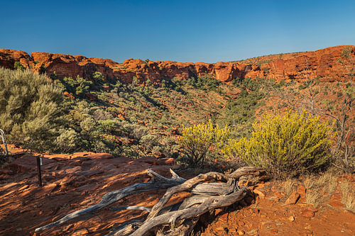 Kings Canyon