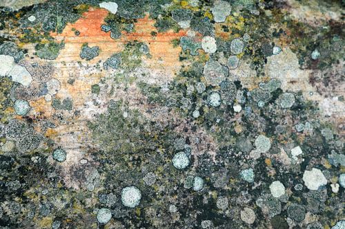 achtergrond sur Eric Hokke