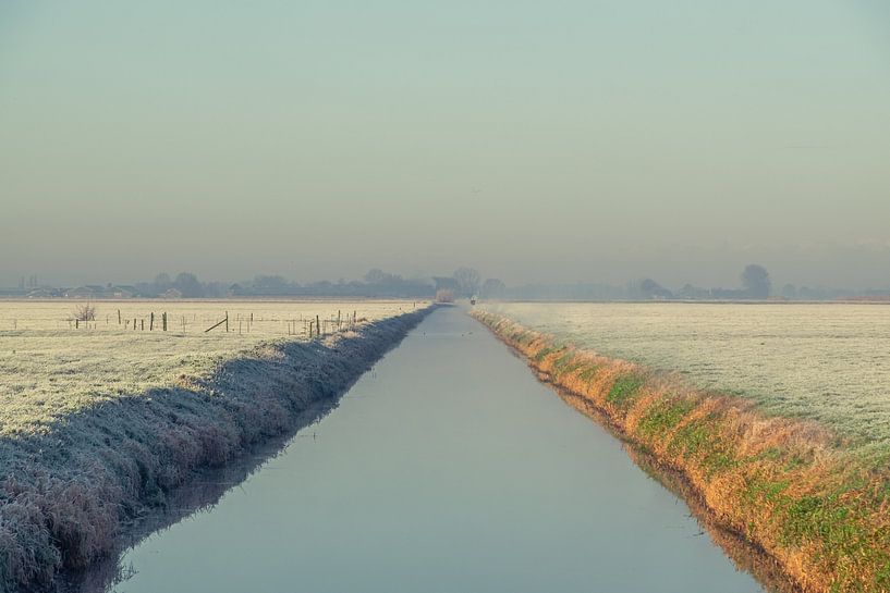 Ditch in the morning sun by Wouter Bos