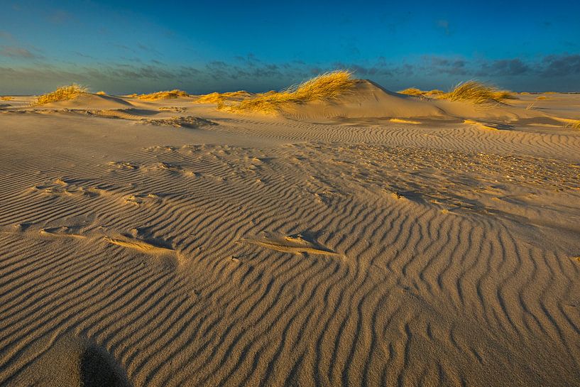 Dune structures by Andy Luberti