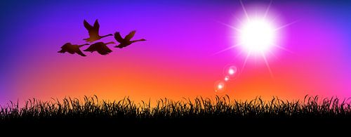 Gemeinsam fliegen wir