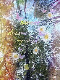 Sweet Child of Mine van treesgivepeace.nl