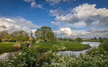 City walls with cow parsley