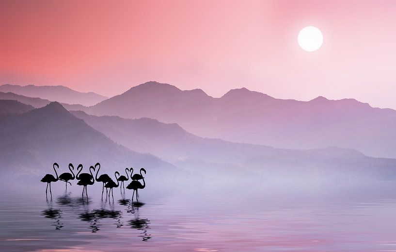 Flamingos Sunset by Bess Hamiti