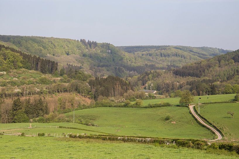 Ardennes par Ewan Mol