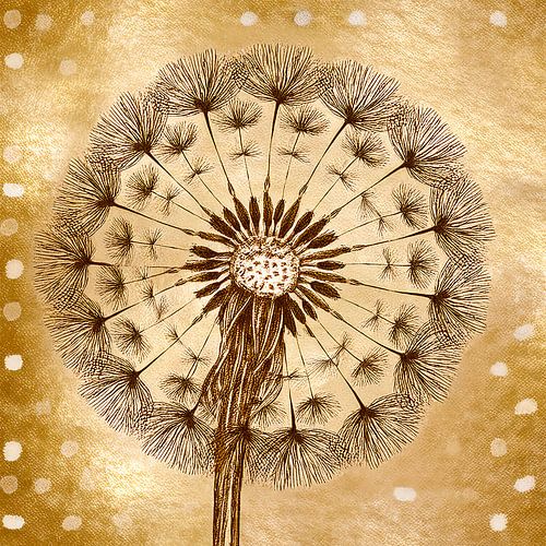 Détail or : illustration de pissenlit en or