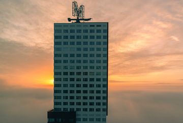 Montevideo Rotterdam dans le brouillard sur Ilya Korzelius