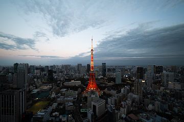 Blick auf den Tokyo Tower von den Azabudai Hills, Tokio, Japan von Mirjam Dolstra