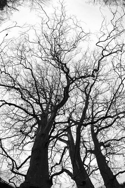Heure d'hiver par Thomas Jäger