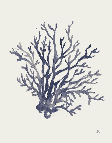 Ocean Finds XV Navy, Daphne Brissonnet by Wild Apple