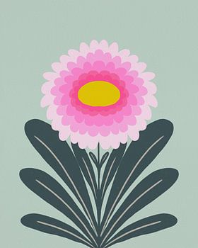 Cute Dahlia - Pink and green