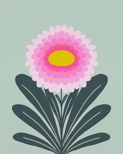 Cute Dahlia - Pink and green