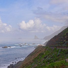 Teneriffa - schöne Küstenroute mit toller Aussicht von Ronald Harmsen