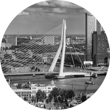 Rotterdam vanaf de Euromast van Ilya Korzelius