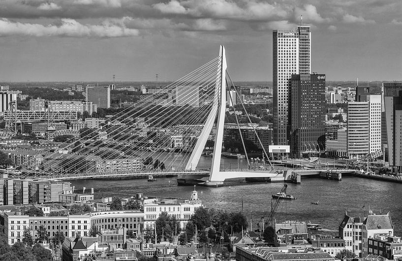 Rotterdam vanaf de Euromast van Ilya Korzelius