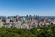 Downtown Montréal, Canada by Stephan Neven thumbnail