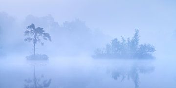 Panorama Dutch Forests and Ponds - Oisterwijk by Vincent Fennis