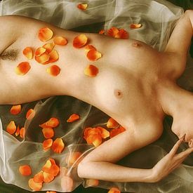 Rosenbeet von Kees de Knegt