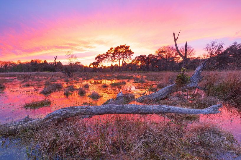 Sunset Schipborg - Drenthe (Netherlands) by Marcel Kerdijk