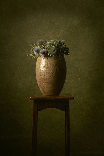 Thistle by Rogier Kwikkers