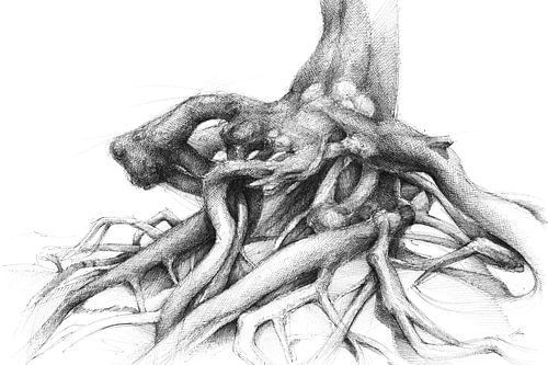 Verwurzelt in der Erde von Adriana Müller