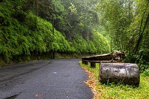 route à travers la forêt tropicale peu après les pluies. sur Bart Hagebols