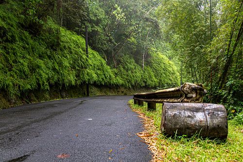 route à travers la forêt tropicale peu après les pluies.
