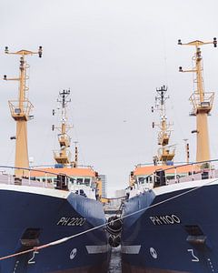 Bateaux de pêche dans le port, Scheveningen