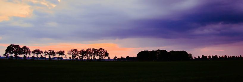 silhouet van bomen in avondrood, opwindend van Miny'S