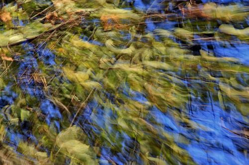 Bewegende camerabeelden